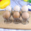2Pcs Metal Spiral Spring Wire Tray Egg Cup Storage Holder Stand Kitchen Tool g20242697784 2