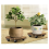 Carrinho de plantas com rodas, suporte para plantas resistente, para uso interno/externo 4