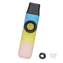 Small Kazoo Flute Easy to Learn British Musical Instruments A