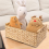 Small Wicker Baskets for Organizing Bathroom, with Wooden Handle 2