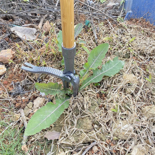 Ferramenta de remoção de ervas daninhas vertical com furos para parafusos 2