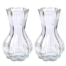 Vases for Flowers,2 Set Glass Vase,Ribbed Vases for Home Decor