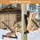 Wall Mounted Log Splitter Hand Log Splitter for Camping 1
