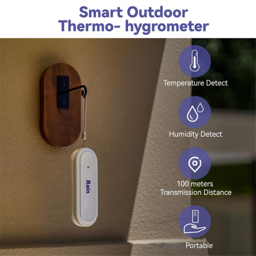 Sensor de temperatura e umidade inteligente Wi-Fi Mini interno e externo 2