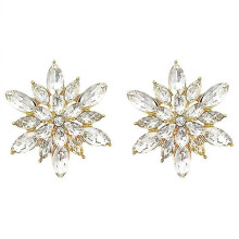 1 Pair Snowflake Earrings Decorative Earrings Stud Earrings Women Earrings Jewelry