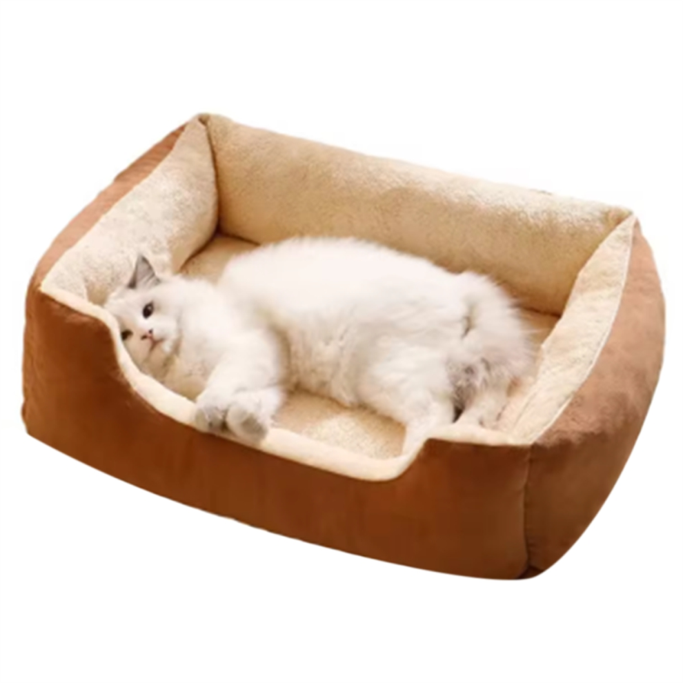 cat bed
