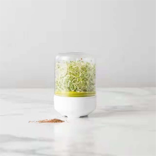 Kitchen Bean Plants Sprouting System Seeds Container Supplies 2