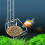 Multifunctional Large Capacity Feeder Aquarium 2