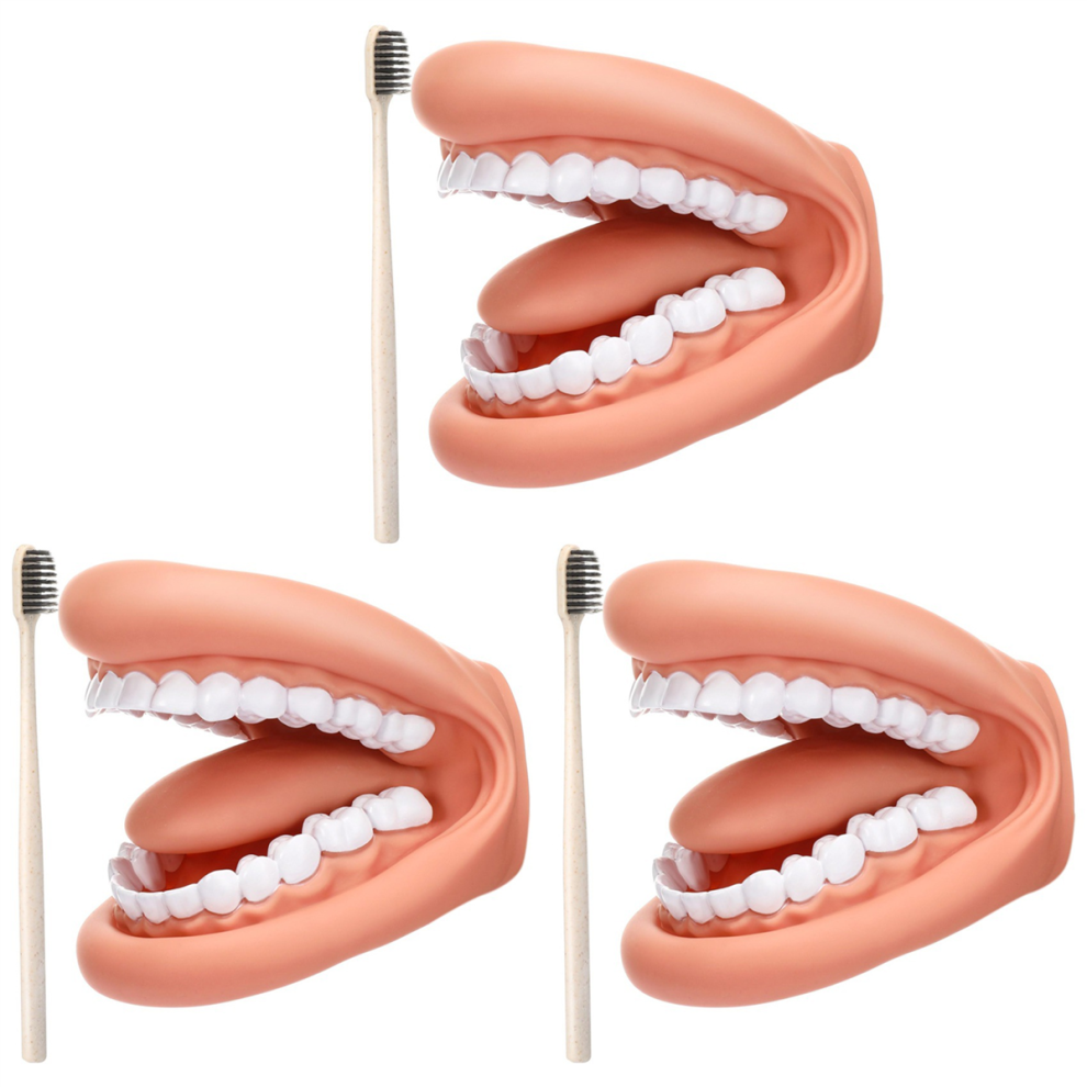 Mouth Puppet with Tongue Teeth Mouth Hand Puppet Dental Mouth Model