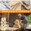 13pcs Wood Carving Disc Set Bushing Angle Grinder 4