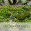 20 Pieces 2 Sizes Rocks Faux Moss Covered Stones 4