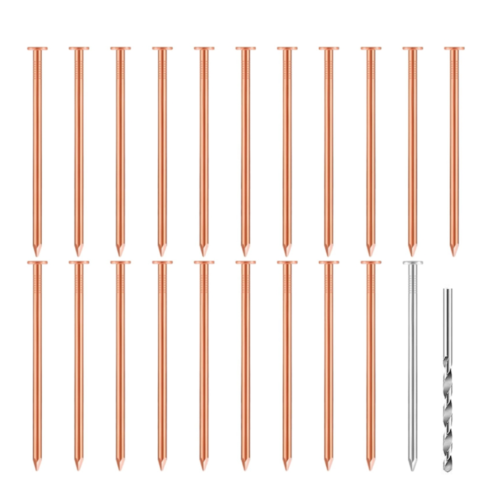 20 Pcs Copper Nails For Killing Trees, Stumps & - 3.5 Inch Long 4712314172057