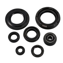 Für Banshee Komplette Motor Dichtung Set mit Öl Dichtungen Kit
