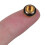 Flash Remote PC Sync Terminal Cap Cover for XT1 B 2