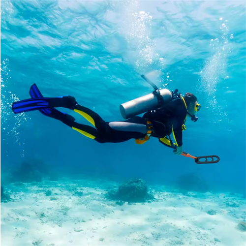 Underwater Dive Scuba Metal Detector Coil Pulse Scan Pinpointer Diving Gold Detecting 2