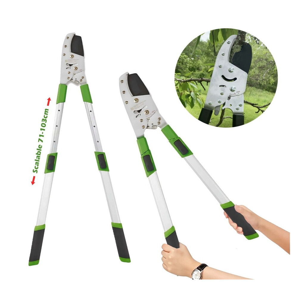 Homion Ratchet Anvil Lopper Telescopic Tree Branches Pruner Extending Garden