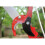 2-in-1 Telescopic Tree Pruner Extendable Pole Saw Branch Cutter Lopper 3