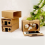 6PC 3D Glasses for Cardboard V2 VR 4.5-6Inch+Headband 4