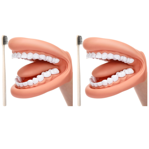 Marionetta con bocca, denti, lingua, bocca, marionetta, modello di bocca dentale