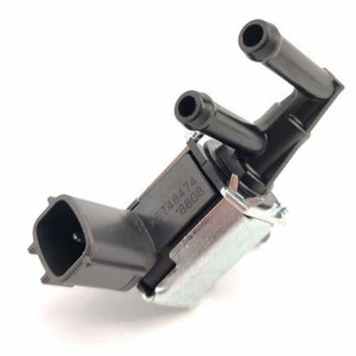 Entlüftungsventil für den Aktivkohlefilter des Sentra 1