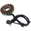Motorrad-Statorspule 32101-05300 für 1