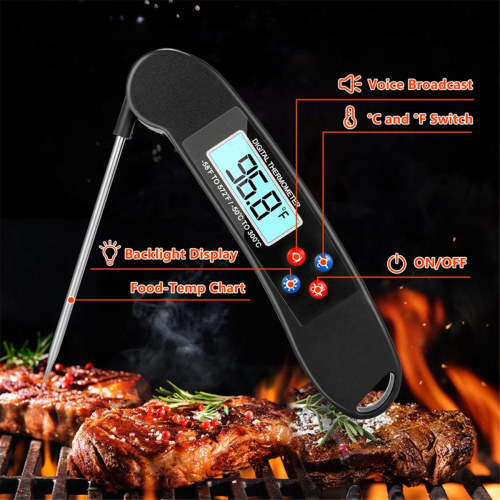 Professional Meat Thermometer, Digital Talking Thermometer 2