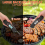 Professional Meat Thermometer, Digital Talking Thermometer 6