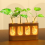 Plant propagation station with LED lights 2