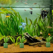 Wasserpflanzen-Festhalter, 10-teiliges Aquarium-Pflanzen-Befestigungstopf-Set