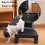 Cat Ramp for Litter Box,Double Layer Litter Trapper 2