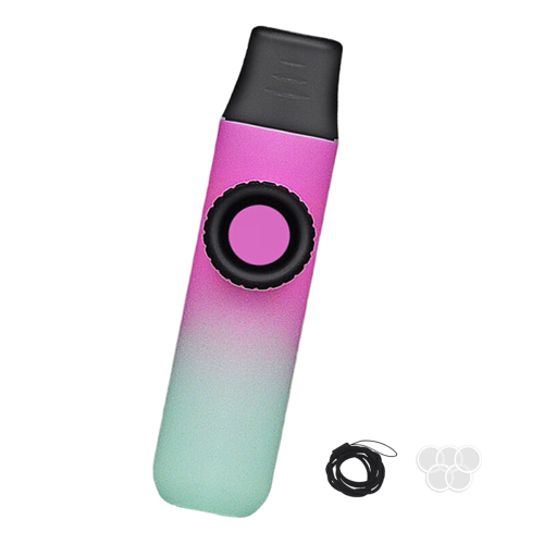 Piccolo flauto kazoo facile da imparare strumenti musicali britannici C