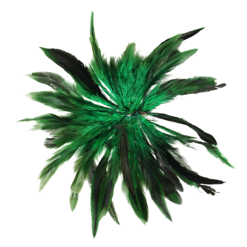 Decorazione Hahnenfedern - Verde 2