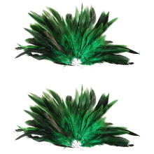 Dekoration Hahnenfedern - Grün