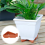 Flower/Plant , 24PC Flower Pot Risers Feet 4