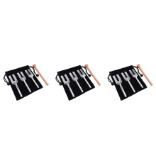 Set di diapason 4096 Hz 4160 Hz 4225 Hz Set di diapason Stile 2