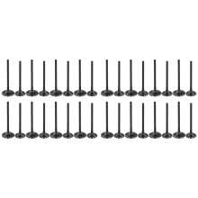 8Paris Engine Intake Valve And Exhaust Valve For 5.0 508PN