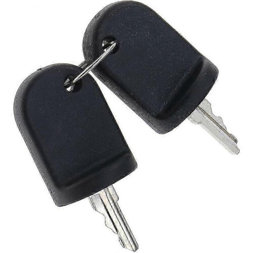 2PCS Ignition Switch Keys Compatible for EZGO RXV G&E 611282 605946 606993 1