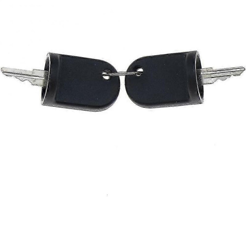 2PCS Ignition Switch Keys Compatible for EZGO RXV G&E 611282 605946 606993 2