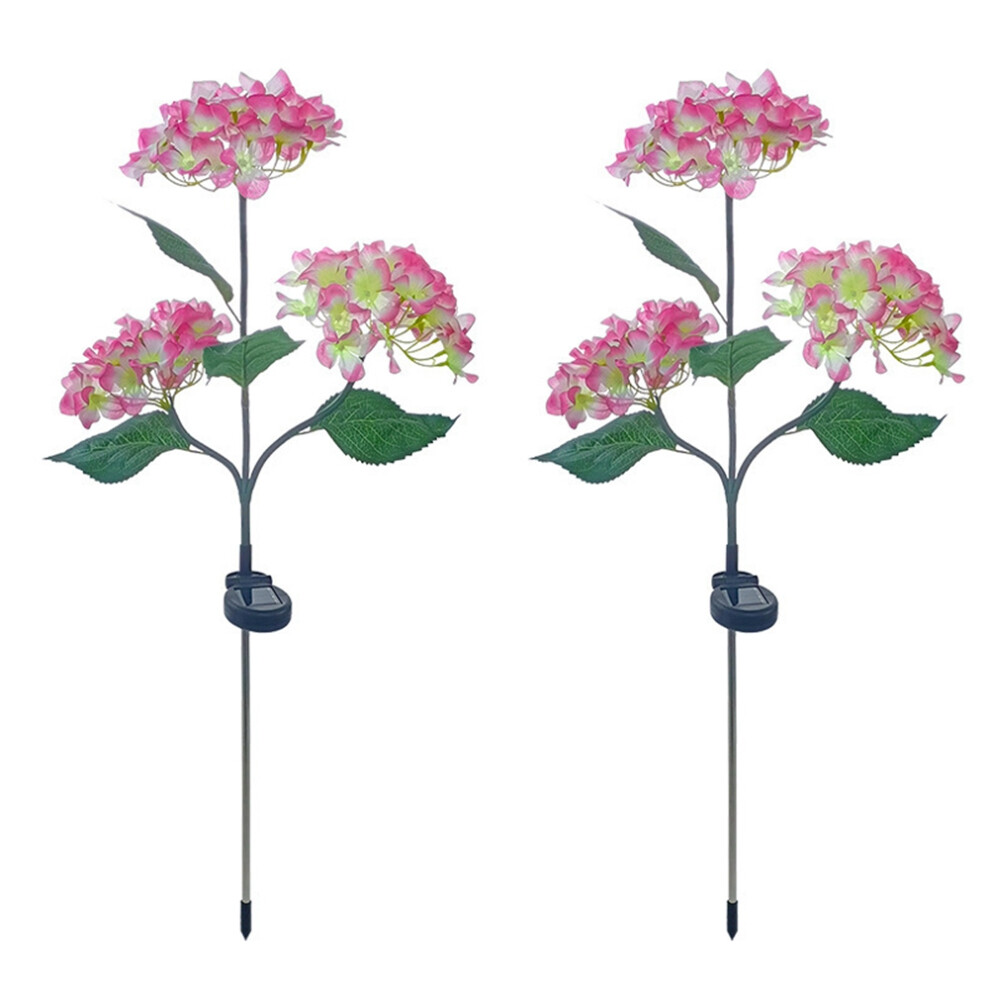 Luci Solari Da Giardino, Fiori Luminosi, Led Per Esterni, Percorsi E Cortili.