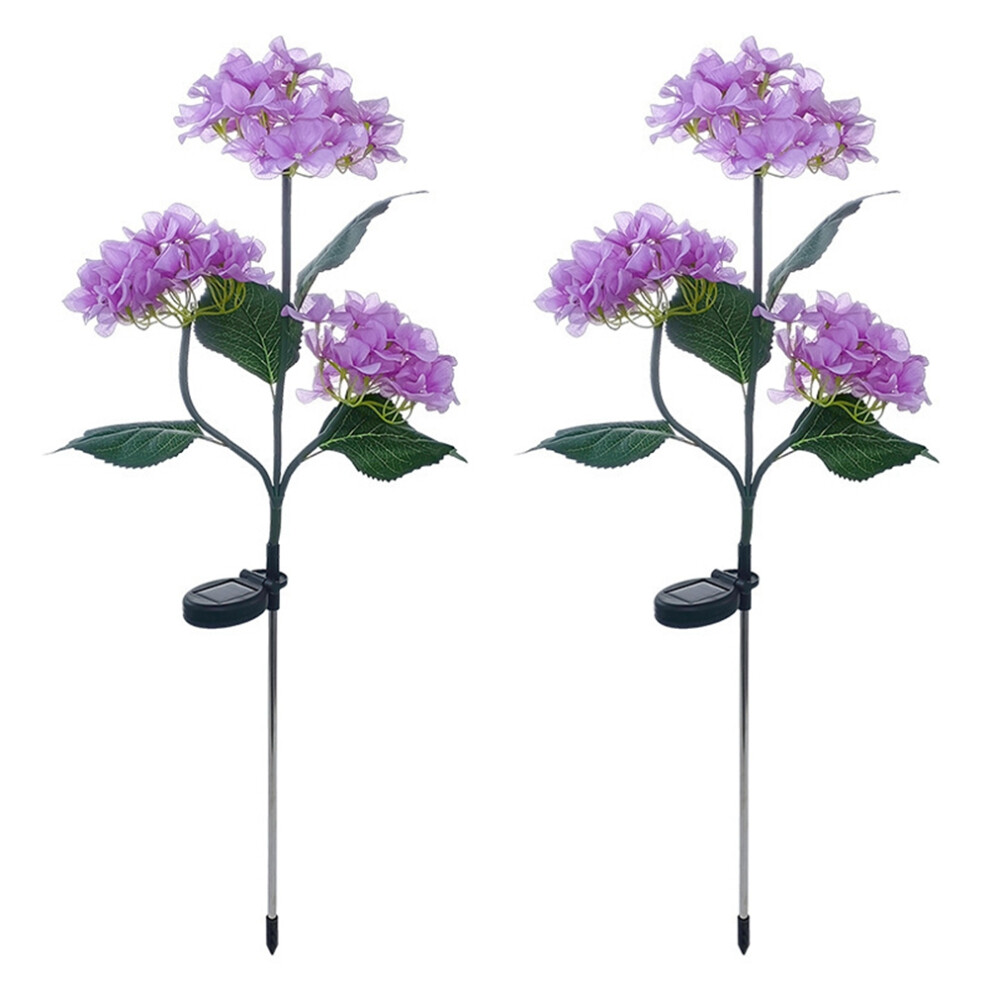 Luci Solari Da Giardino, Fiori Luminosi, Led Per Esterni, Percorsi E Cortili.