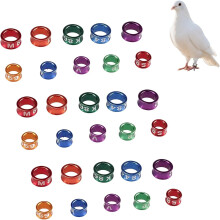 30Pcs Bird Leg Rings,Bird Foot Rings,Chicken Leg Rings,Closed Rings for Birds,Comfortable Fit Chicken Feet,Pigeon Foot Rings,Random Color,4MM
