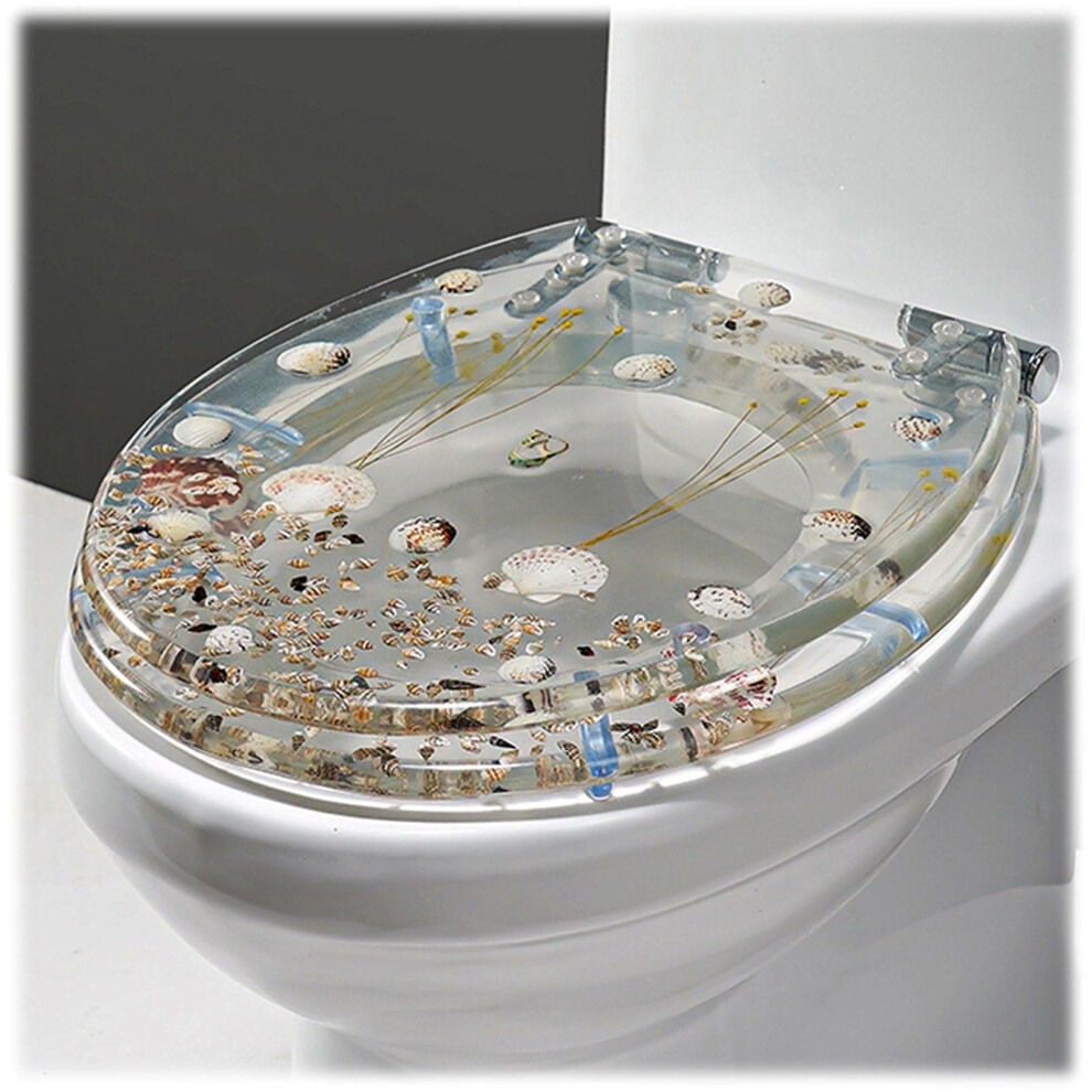 Toilet Seat With Quickrelease, Sturdy Lid, Slowclose, Oval, Resin, Adjustable Hinges 6276012042480