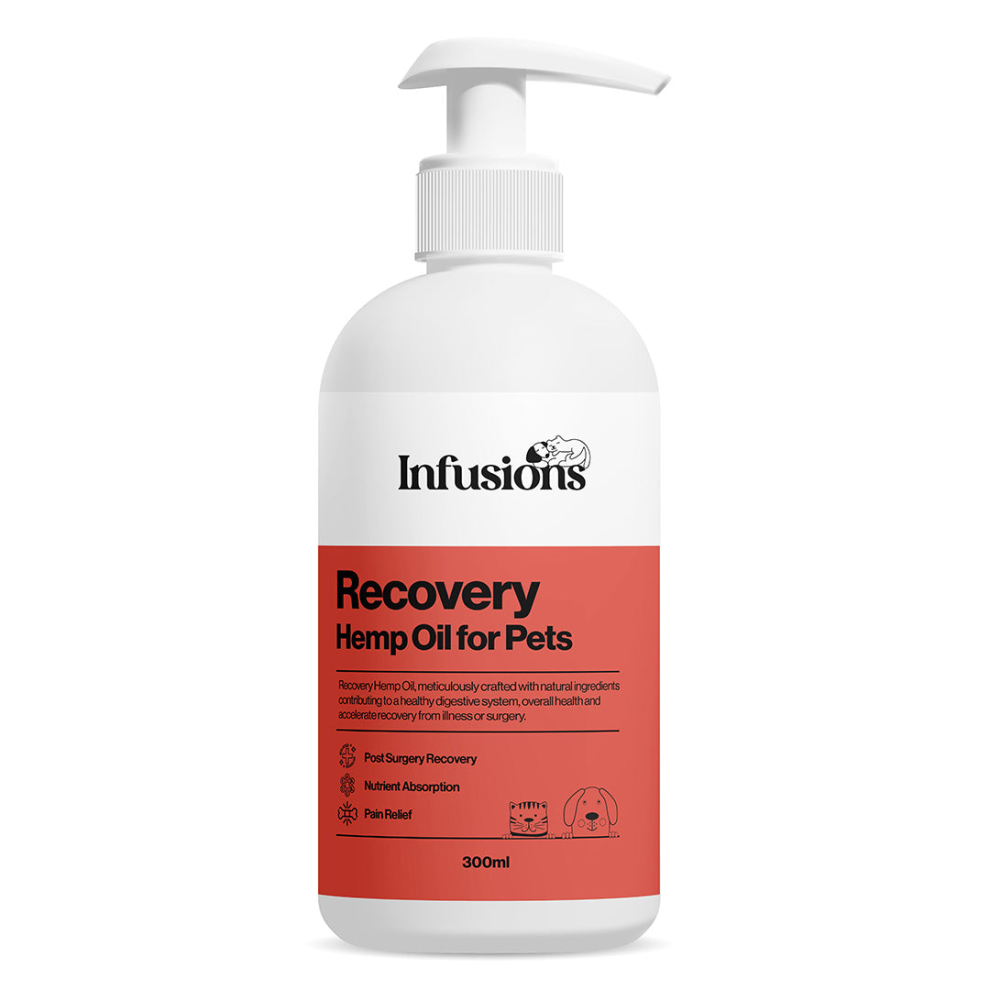 Infusions Recovery Hemp Oil Infusion For Cats & Dogs 300Ml