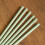 Premier 25g Icicles on Spruce Scented Christmas Scentsicles with 6 Hanging Hooks 4