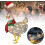 LightUp Chicken with Scarf, Christmas LightUp Chicken Lantern Lawn Decor (M) 2