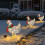 LightUp Chicken with Scarf, Christmas LightUp Chicken Lantern Lawn Decor (M) 1