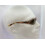 Police Police Vintage Sunglasses S1297 Color 0W92 4