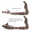 Compatible with Z900 2017-2022 Exhaust Escape Tube Eliminator Enhanced Elbow Middle Link Pipe Delete 5
