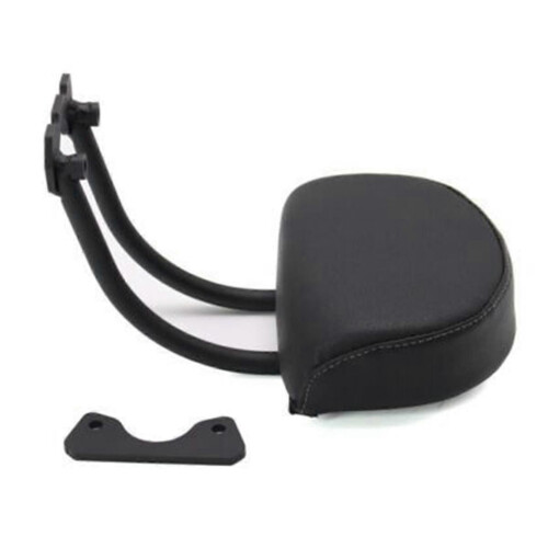Motorcycle Modified Passenger Rear Backrest Kit for Harley Sportster S 2021- Edition 0709