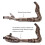 Z900 2017-2022 Catalyst Delete Exhaust Middle Link Pipe Enhanced Elbow 2